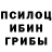 Псилоцибиновые грибы мухоморы Rasul Shumekeev