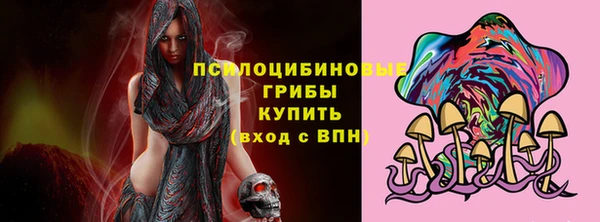 ГАЛЛЮЦИНОГЕННЫЕ ГРИБЫ Абаза