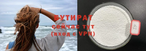 индика Шадринск