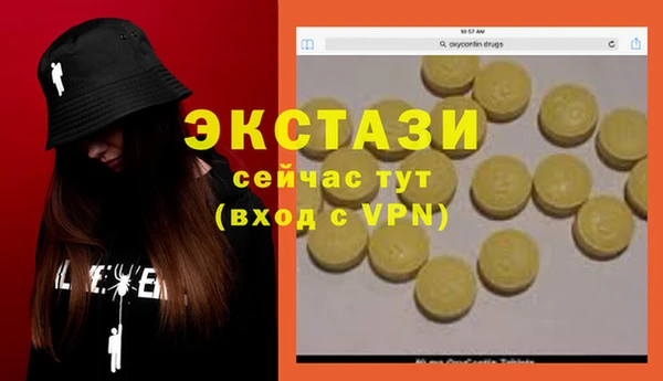 стаф Чердынь