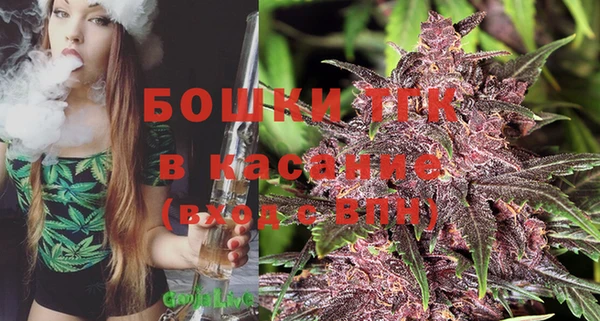 ГАЛЛЮЦИНОГЕННЫЕ ГРИБЫ Абаза