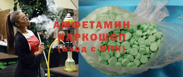 индика Шадринск