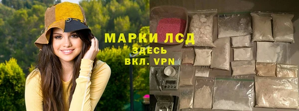 ГАЛЛЮЦИНОГЕННЫЕ ГРИБЫ Абаза