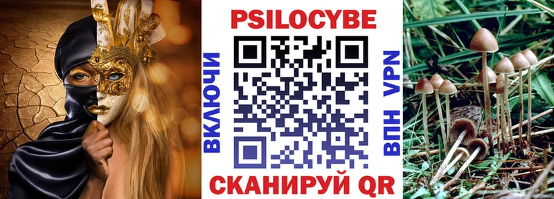 Галлюциногенные грибы Cubensis  hydra вход  Новочебоксарск  купить наркотик 